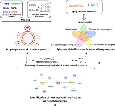 Quantitative and Systems Pharmacology 3. Network-Based Identification of New Targets for Natural Products Enables Potential Uses in Aging-Associated Disorders